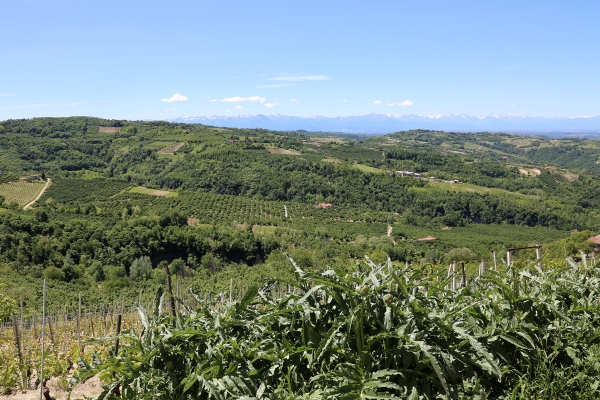 Hotel Agriturismo Al Brich
